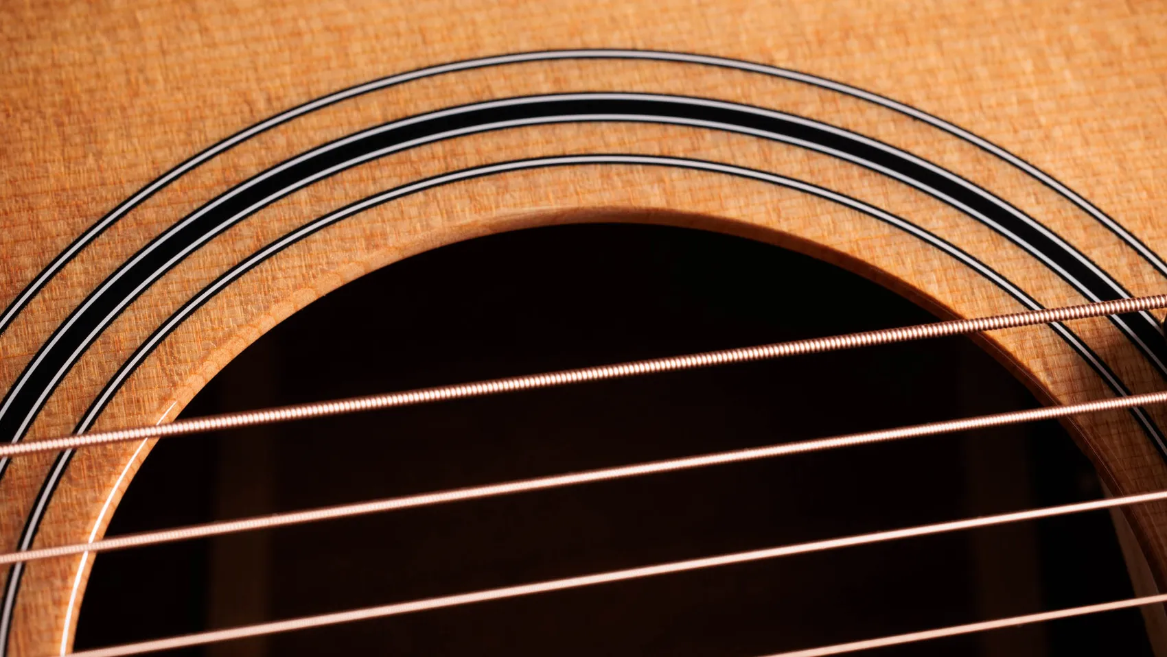 サペリ・アコースティック・エレクトリックギターTaylor Guitars